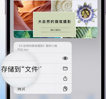 新城镇apple维修中心分享iPhone文件应用中存储和找到下载文件