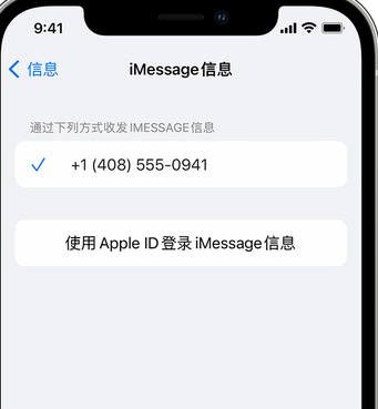 新城镇apple维修iPhone上无法正常发送iMessage信息 