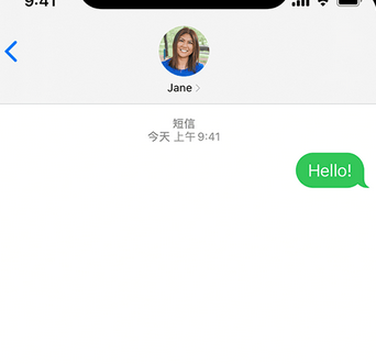 新城镇apple维修iPhone上无法正常发送iMessage信息