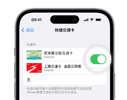 新城镇apple维修点分享iPhone上更换Apple Pay快捷交通卡手绘卡面 