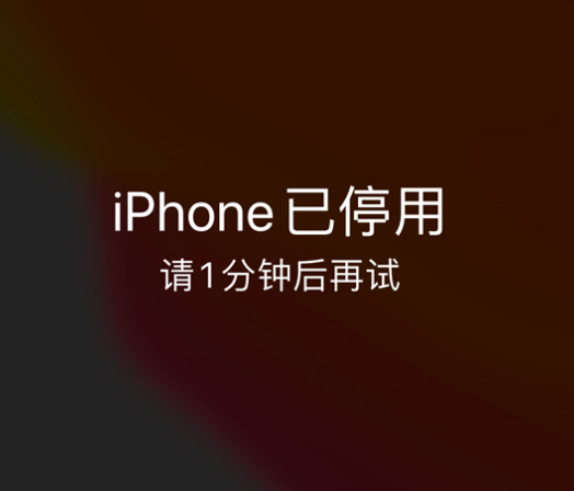 新城镇苹果手机维修分享:iPhone 显示“不可用”或“已停用”怎么办？还能保留数据吗？ 