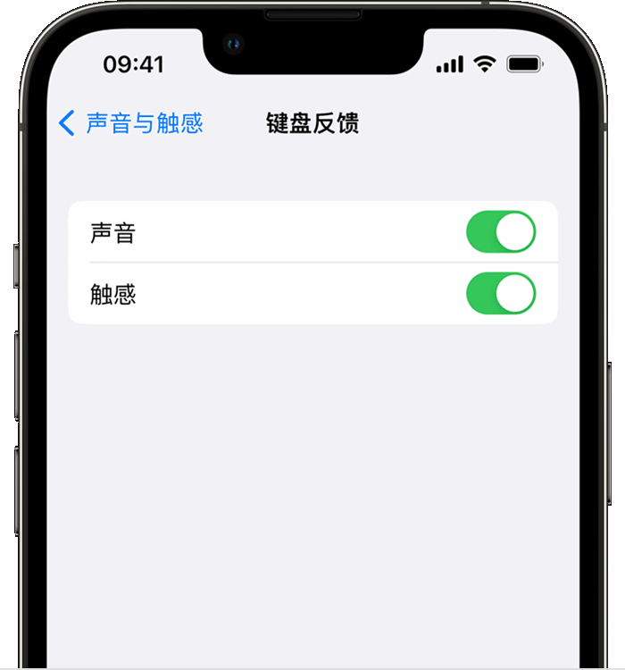 新城镇苹果14维修店分享如何在 iPhone 14 机型中使用触感键盘 