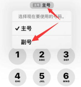 新城镇苹果14维修店分享iPhone 14 Pro Max使用副卡打电话的方法 