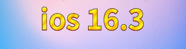 新城镇苹果服务网点分享苹果iOS16.3升级反馈汇总 