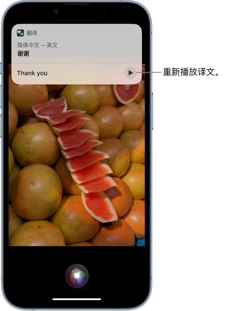 新城镇苹果14维修分享 iPhone 14 机型中使用 Siri：了解 Siri 能帮你做什么 