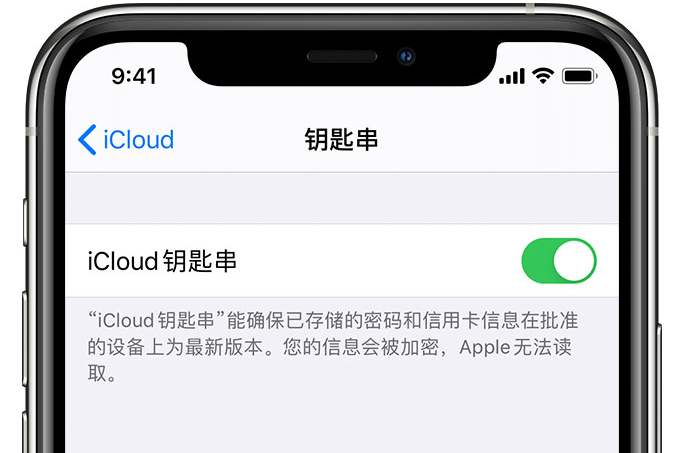 新城镇苹果手机维修分享在 iPhone 上开启 iCloud 钥匙串之后会储存哪些信息 