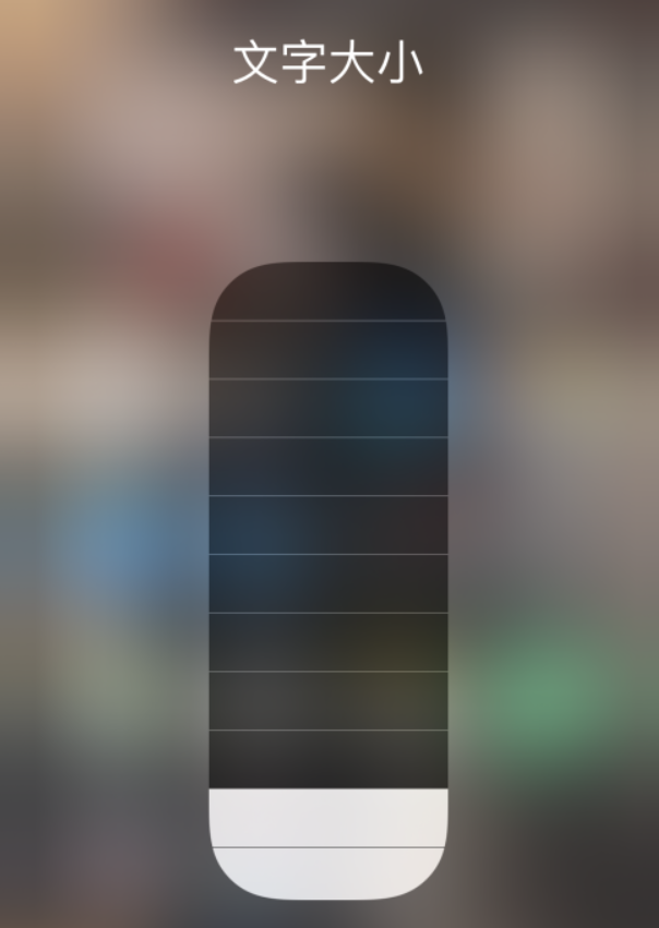 新城镇苹果手机维修分享小技巧：在 iPhone 控制中心快速调节字体大小 