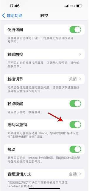 新城镇苹果手机维修分享iPhone手机如何设置摇一摇删除文字 