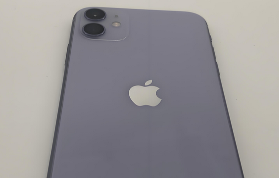 新城镇苹果11系统维修分享iPhone11手机系统崩溃无法开机如何解决 
